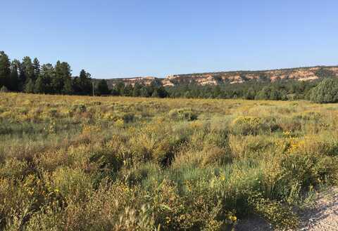 Lot 14 E Elk Drive, Ramah, NM 87321