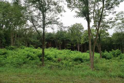 Lot 2 Highfield Road, Three Rivers, MI 49093