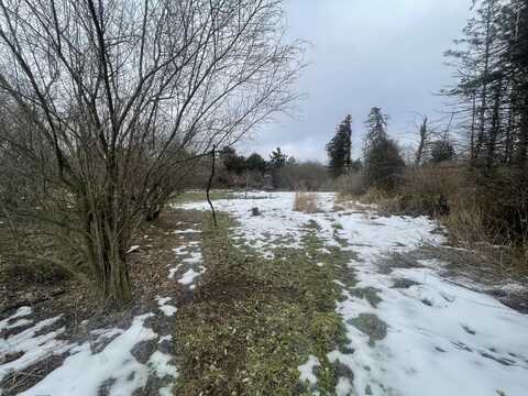 566 E Townline Road, Free Soil, MI 49411