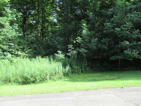 Tract 4 Deep Woods Drive, Cassopolis, MI 49031