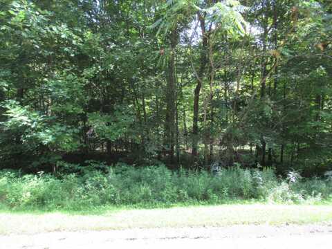 Tract 6 Brookside Court, Cassopolis, MI 49031