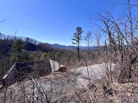 3217 Emerald Springs Loop Loop, Sevierville, TN 37862