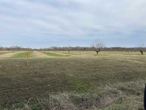 Lot 8 CR 4230, Pittsburg, TX 75686