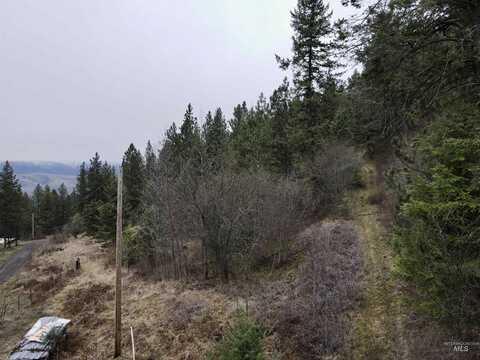 Lot 60 Twin River Ranch, White Bird, ID 83554