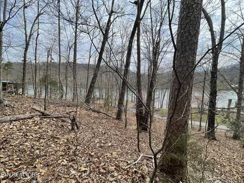 Lot119 Laurel Lake Circle, Madisonville, TN 37354