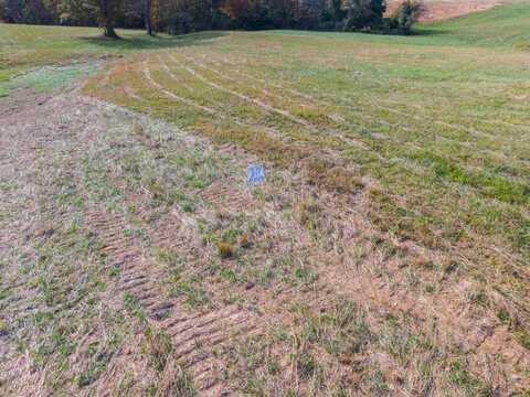 Lot 37 Spring Branch Hollow Road, Nancy, KY 42544