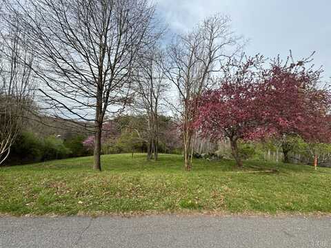 123-Lots Trails End Road, Goodview, VA 24095