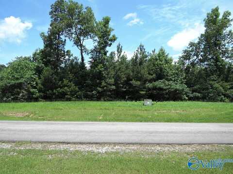 209 Stoney Point Drive, Double Springs, AL 35553