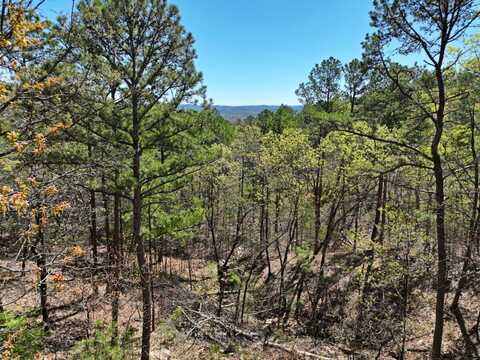 Lot 1 Phase 2 Timber Ridge Estates, Tuskahoma, OK 74574