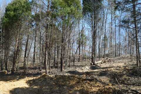 00000 Sawmill Rd, English, IN 47118