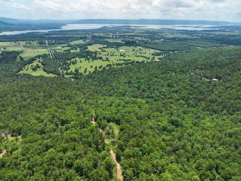 Lot 6 Phase 1 Timber Ridge Estates, Tuskahoma, OK 74574