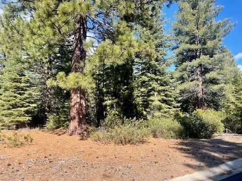 39 Grand Fir Road, Lake Almanor, CA 96137