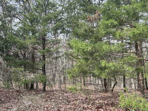 10 Acres on Top Lane, London, AR 72847