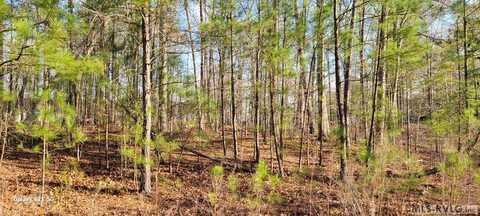 Lot 69 Lake Pointe Drive, Roanoke Rapids, NC 27870