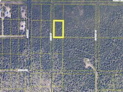 Arms, SOLDOTNA, AK 99669