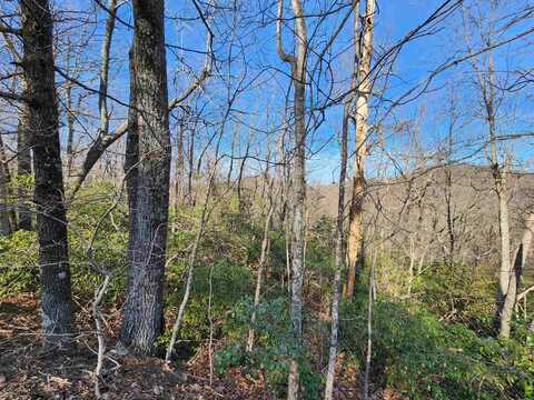 Lot 22 Sunset Ridge Drive, Columbus, NC 28722