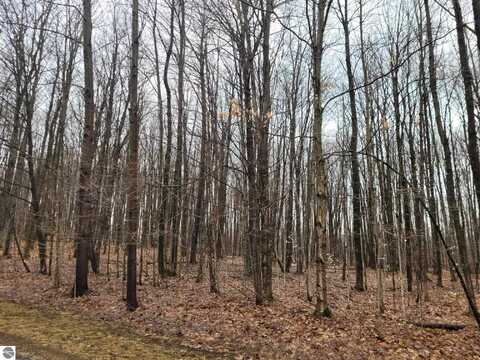 Lot 543 Crestview Circle, Elmira, MI 49730