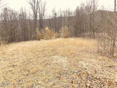 1213 Mays Ridge Lot 17 Road, Butler, TN 37640