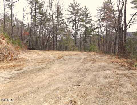 702 Heartwood Lot 56 Lane, Butler, TN 37640