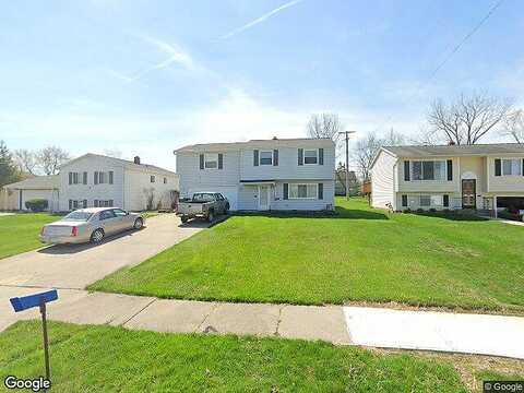 Buckthorn, BEDFORD, OH 44146