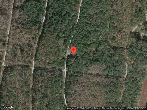Wayne Smith, SAULSBURY, TN 38067