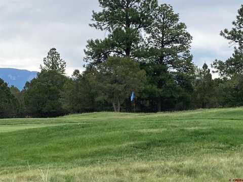 1406 Marmot Drive, Ridgway, CO 81432