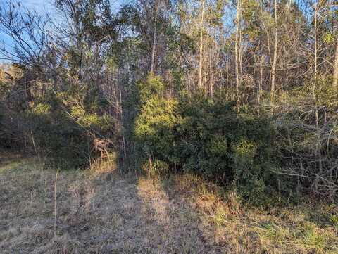 0 Old Hwy 6, Cross, SC 29436