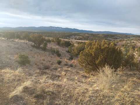 Tract 7 Bridle Path Loop, Mountainair, NM 87036