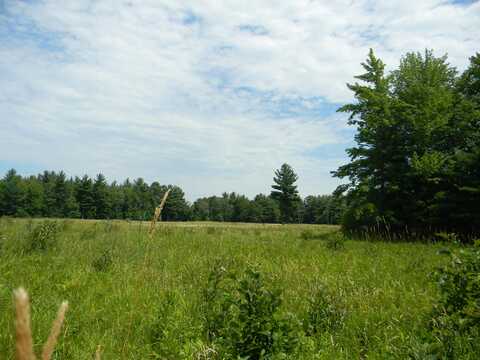 V/L W Branch Road, Pentwater, MI 49449