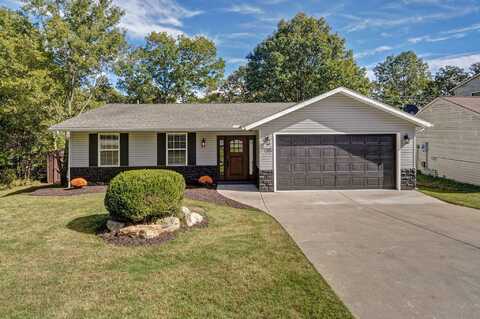 125 Eric Drive, Kirbyville, MO 65679