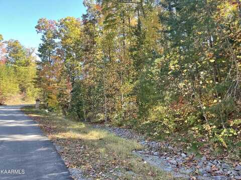 Lot #34 W Long Rifle Rd, Walland, TN 37886