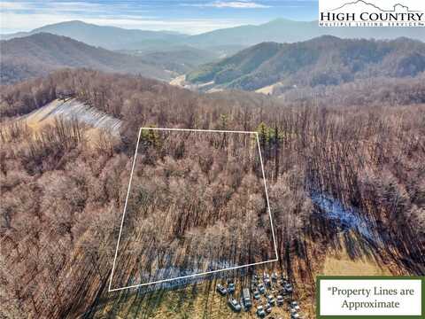 Tbd Roaring Branch Road, Lansing, NC 28643