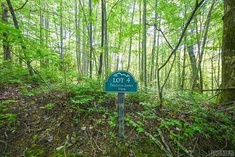 Lot 4 Luckies Way, Cullowhee, NC 28723