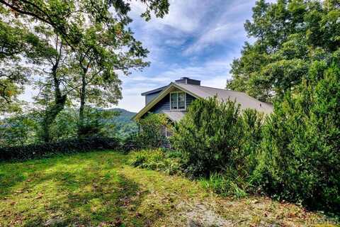 326 East Side Duck Mountain, Scaly Mountain, NC 28775