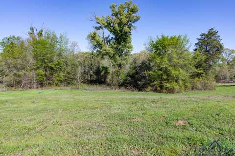 16808 Ridgeline Loop, Winona, TX 75792