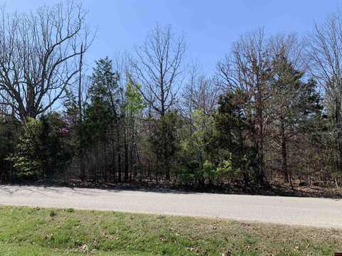 002-09810-035 PIONEER TRAIL DRIVE, Mountain Home, AR 72653