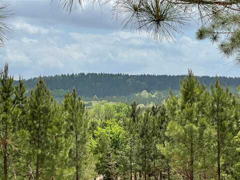 65 Crooked Stick Trail, Broken Bow, OK 74728