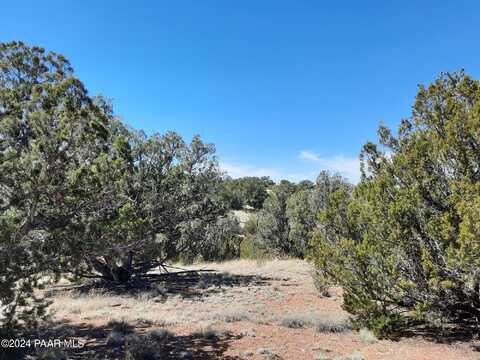 31395 W Bootis Circle, Seligman, AZ 86337