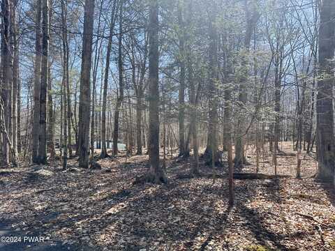 Lot 1138 Chipmunk Lane, Lake Ariel, PA 18436