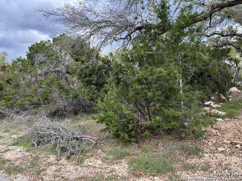 478 West Overlook Dr, Canyon Lake, TX 78133