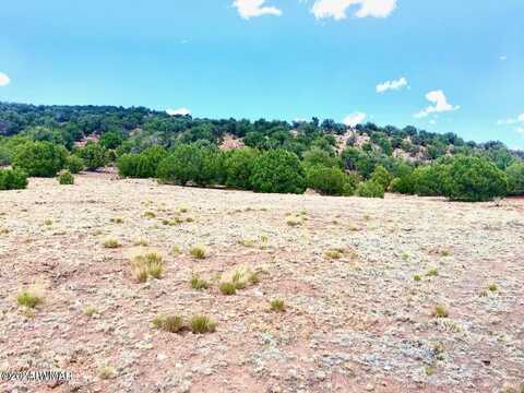 14 County Road 8281 lot 94, Concho, AZ 85924