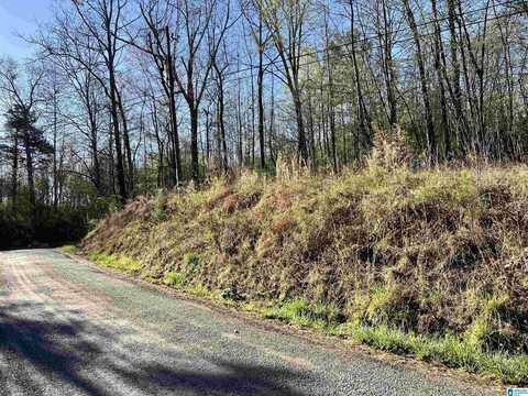 0 LAKESHORE LANE, ONEONTA, AL 35121