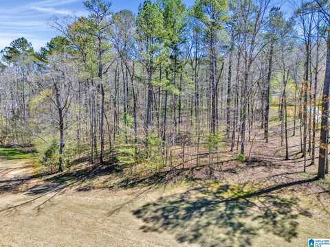 433 SAINT ANDREWS PARKWAY, ONEONTA, AL 35121