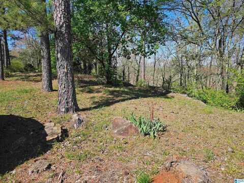 4734 SOUTH SHADES CREST ROAD, BESSEMER, AL 35022