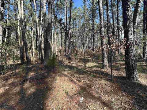 Lot 18 Panther Valley Dr., Drasco, AR 72530