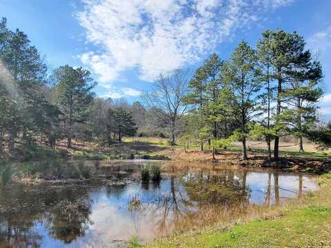 820 Blow Out Mtn. Road, Pencil Bluff, AR 71965