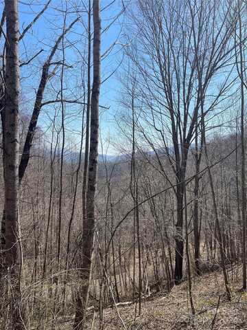 000 Trotters Trail, Waynesville, NC 28785