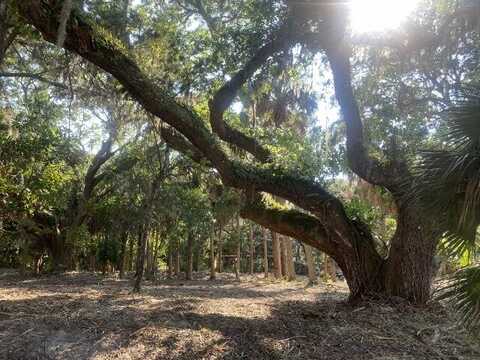 3412 Myrtle Street, Edisto Beach, SC 29438