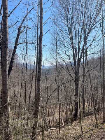 Trotters Trail, Waynesville, NC 28785