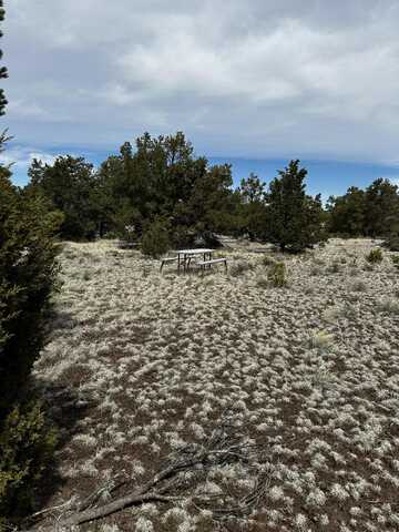 Fountain Hills, Quemado, NM 87829